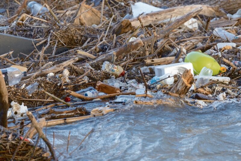 Plastikabfall im Fluss mit Treibholz