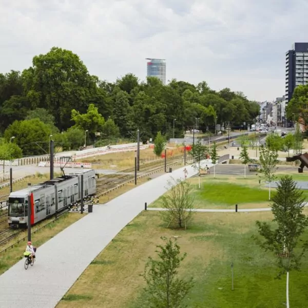 Straßenbahnbegrünung an der Hofgartenstraße in Düsseldorf.